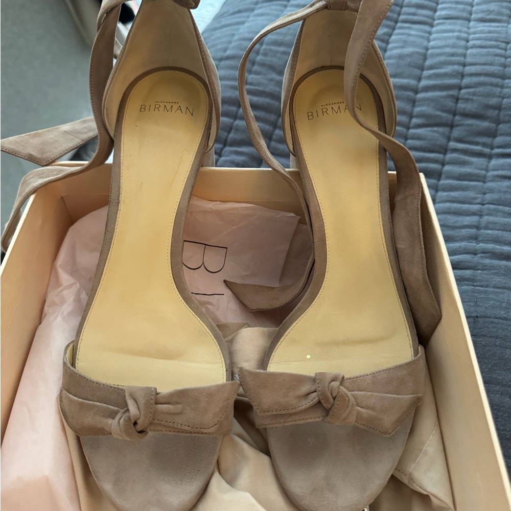 Alexander Birman Block Sandal